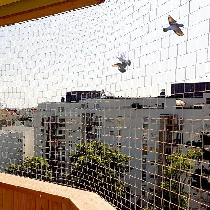 Pigeon Safety Nets Background